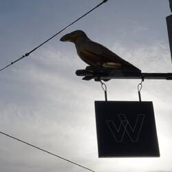 Da sitzt er einfach.