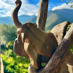 A wood carver must live here.