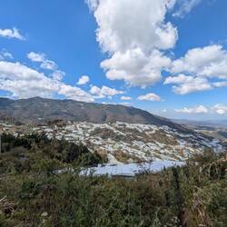 Greenhouses everywhere