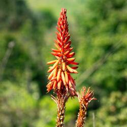 Weiter geht's zum Gira-Hochplateau. Eindrücke unterwegs...