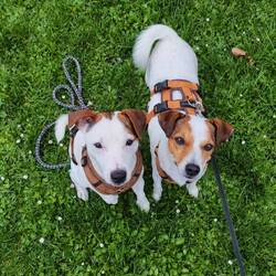 Naja, ohne Sitz, aber halbwegs ordentlich nebeneinander