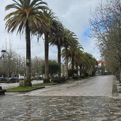 Its close enough to the sea to support palm trees.