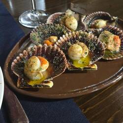 These little scallops are called Zamburinas.