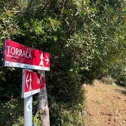 Torraca ist das Ziel der ersten Etappe