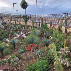 Noch ein hübscher kleiner Garten