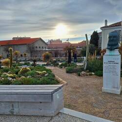 Sehr gepflegter kleiner Garten