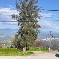 ..und sehen von hier aus schon sehr gut hin 👀