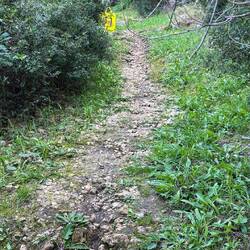 Dort oben wartet die dritte Tasche auf mich 😂😂