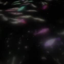 Ankle deep in "Dance of Koi"