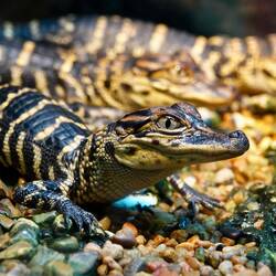 Der war im Visitor Center