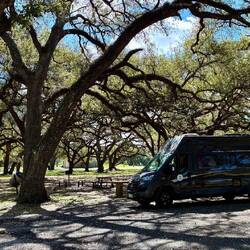 Mittagspause unter Oak Trees