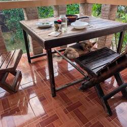 Naaa, wer entdeckt ihn ?😃