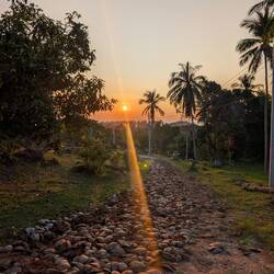 Sonnenuntergänge 🌅