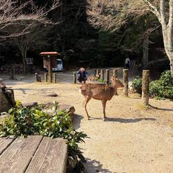 Dennis dans son environnement naturel 🤪