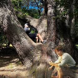 Frodo raucht seine Pfeife