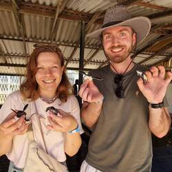 Zurück im Turtle Hachery - einem Projekt, um Schildkröten zu erhalten