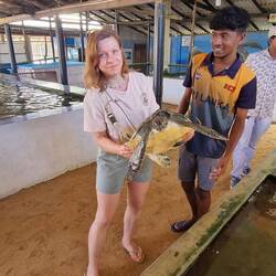 Ich hatte hier so meine Zweifel - die Schildkröte auch 😬