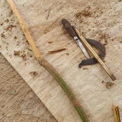 Zimtgewinnung Step 1: Rinde entfernen