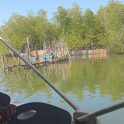 Das soll eine "Shrimp Farm" sein