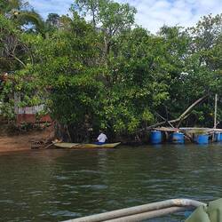 "This tree - 14 minutes dead" [Unser Guide] ... passt!