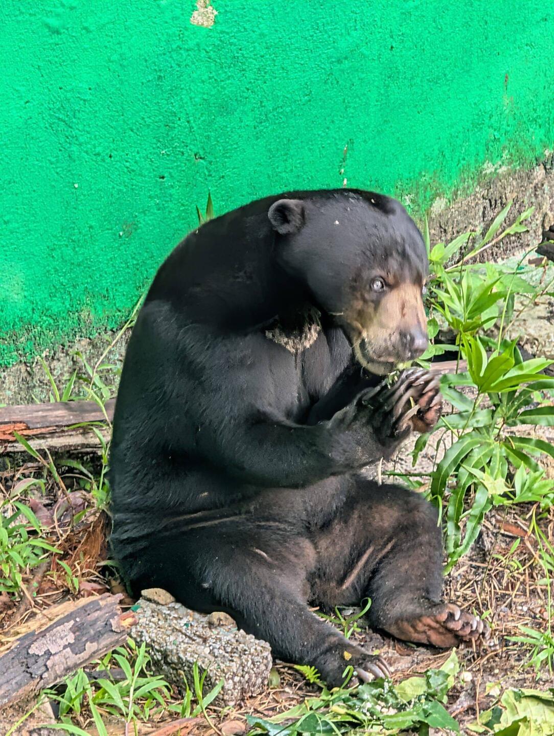 Bite, bitte, mehr davon