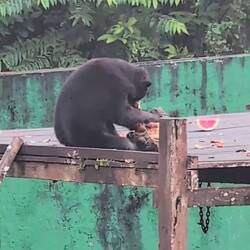 Die muss doch aufzukriegen sein