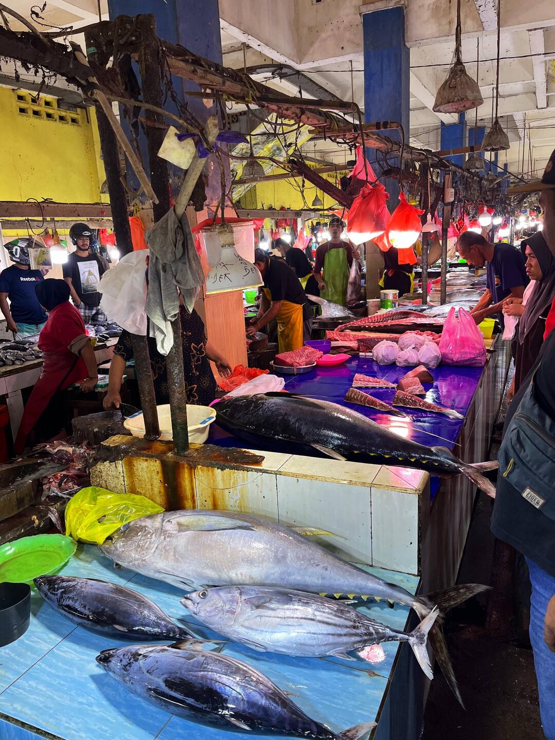 Der grosse Tunfisch kostet 60.- CHF