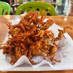 Das haben wir gegessen