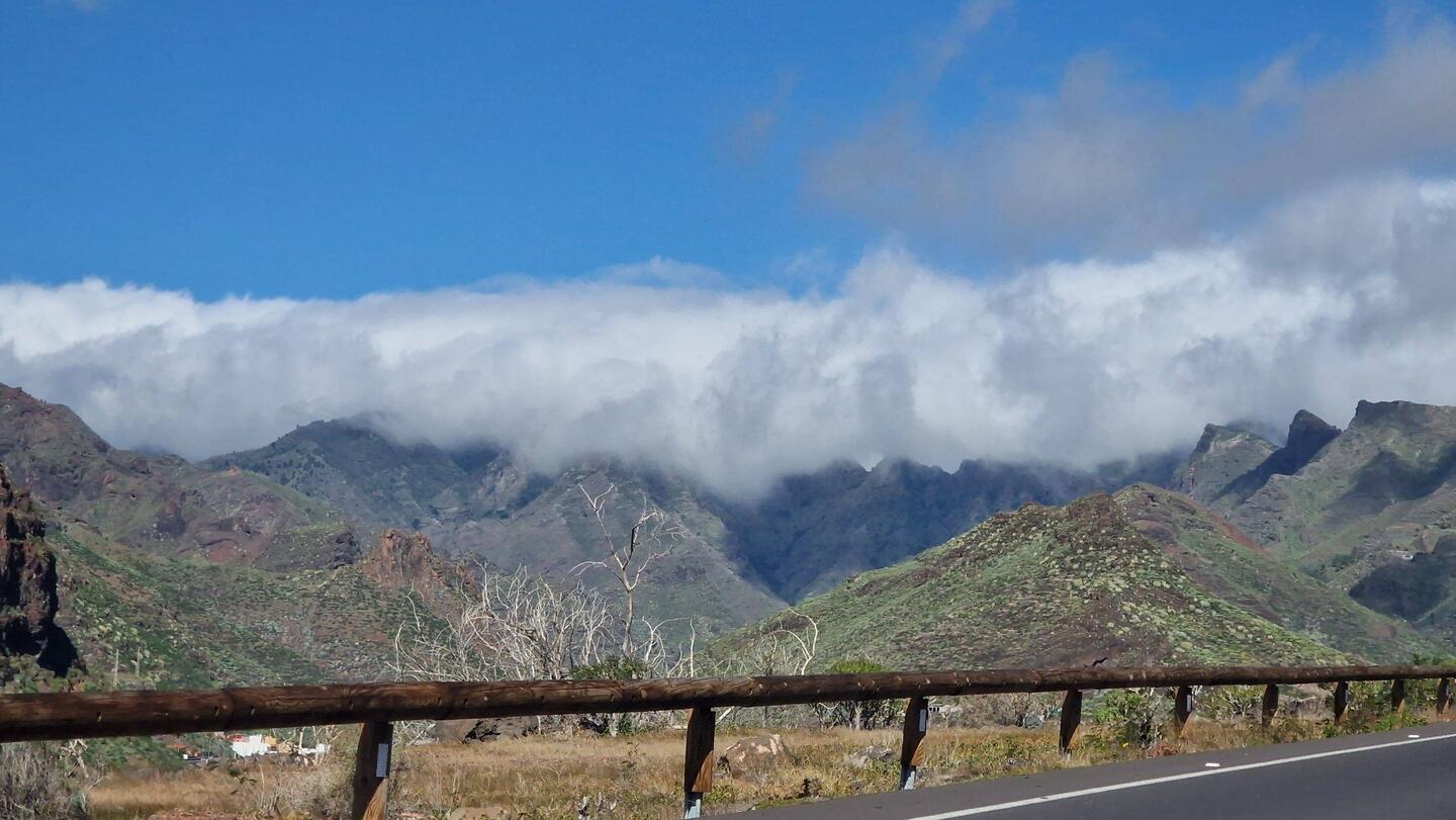 Gehen sie oder kommen sie?