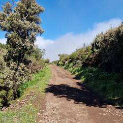 Sogar sonnig ist es zeitweise hier oben. ☀️