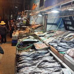 Fischmarkt in Santiago.