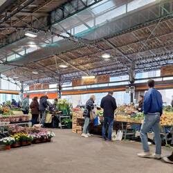 Wir beobachten das Treiben