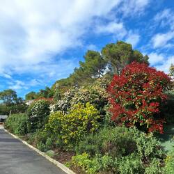 Zufahrt frei zum Camping municipal