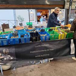 Hier gibt es Austern, Seeigel etc.