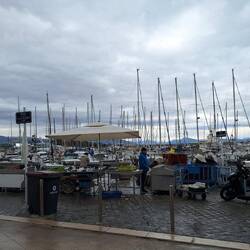 Frischer Fisch wird am Hafen verkauft