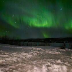 Auch heute Nacht verbringen wir Stunden an der Fotokamera und am Handy.