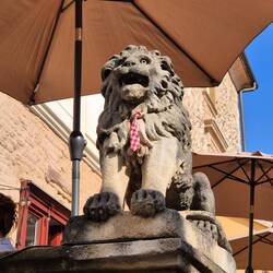 Learned that Croatia invented the tie & the French coined the term "cravat" mispronouncing "Croate".
