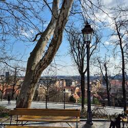 View from the hill...