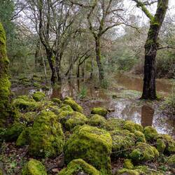 Hmm, wo ist hier der Weg... 🤔