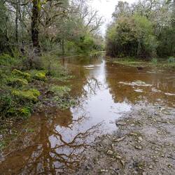 Hier... ? Nee, Rückzug!