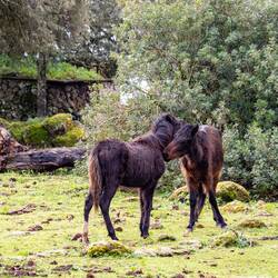 ... führen zum Erfolg 😊