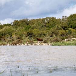 Hallo, hier bin ich !