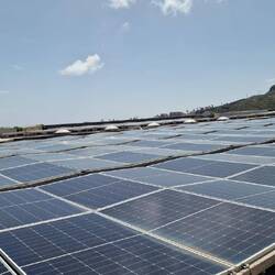 Man sieht sie überall, wo Platz ist.