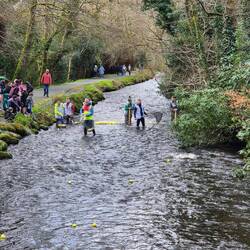 Hier werden die Gewinner rausgefischt und alle anderen 🦆 natürlich auch!