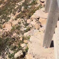 Wo geht's zum Bau? 🤣🤣