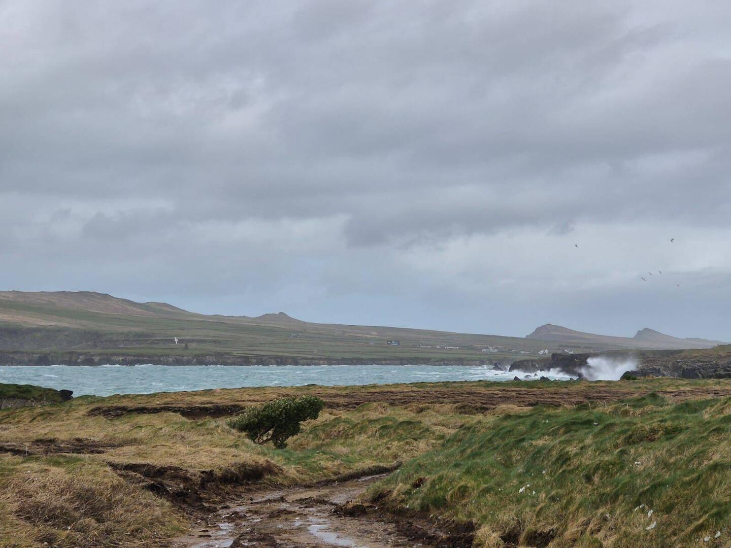 Eine der wunderbaren Sackgassen