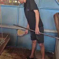 Herstellung Reiscorn