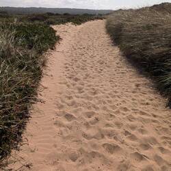 ... Aber die meiste Zeit geht es laange durch tiefen Sand 🥵
