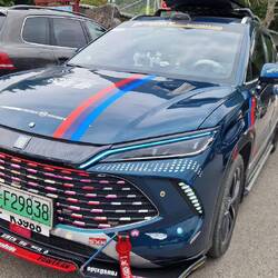 Temu Tuning am BYD