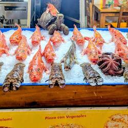 Frische Ware in unserem Stammlokal